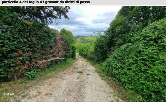 - foto 14