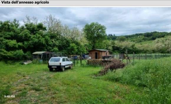  - foto 3
