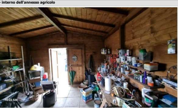 - foto 7