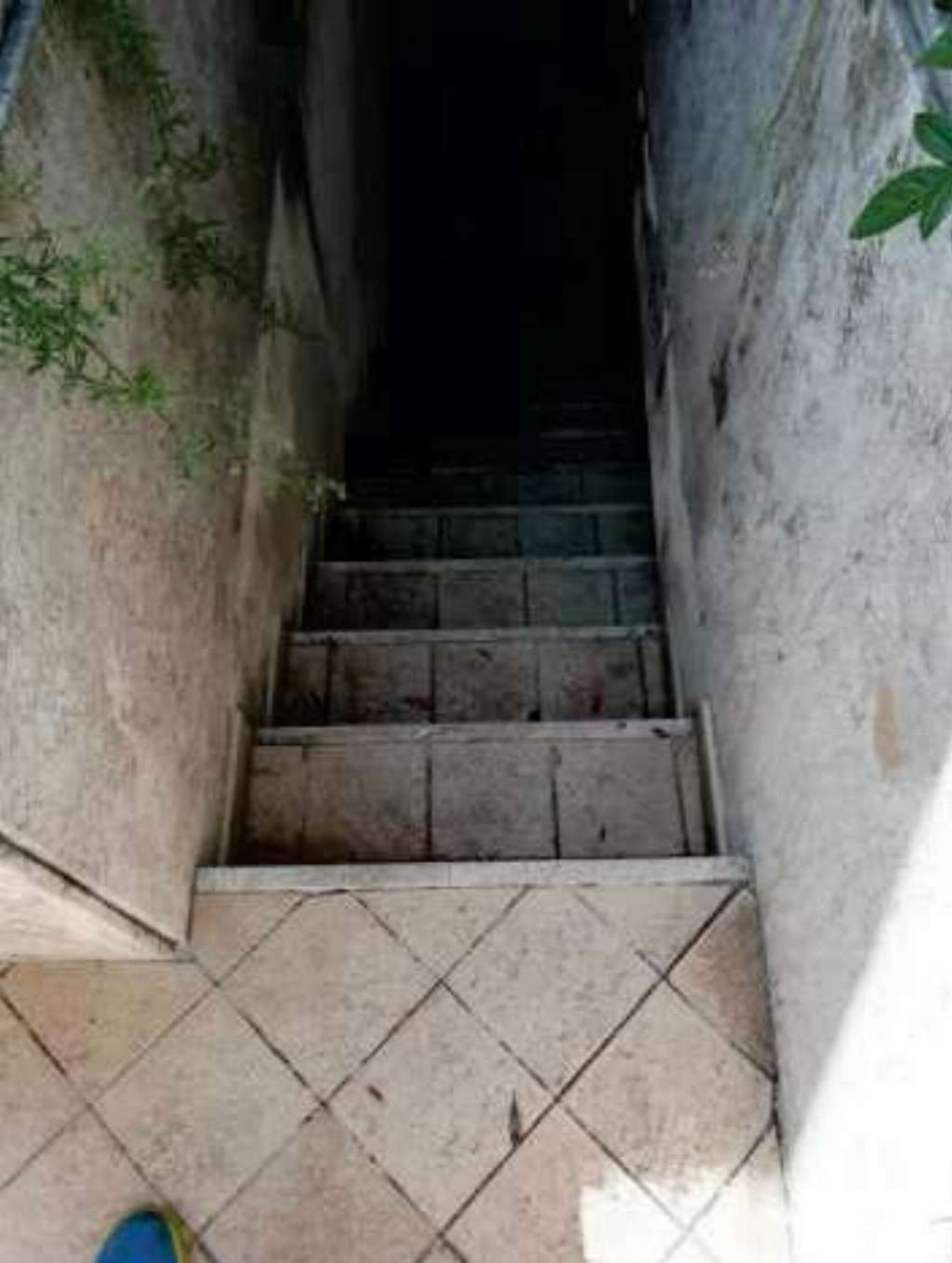 - foto 6