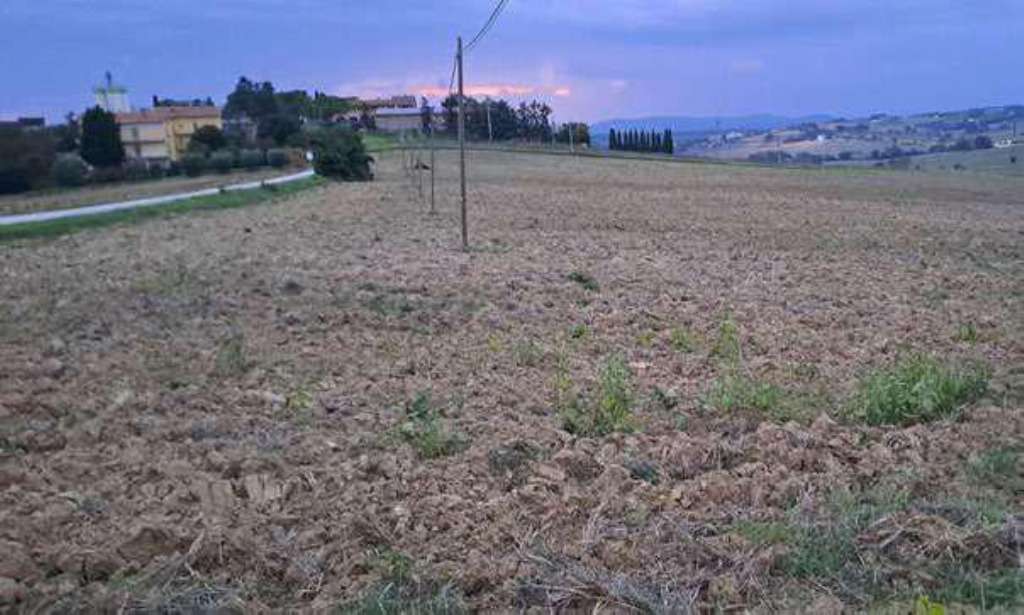  - foto 22