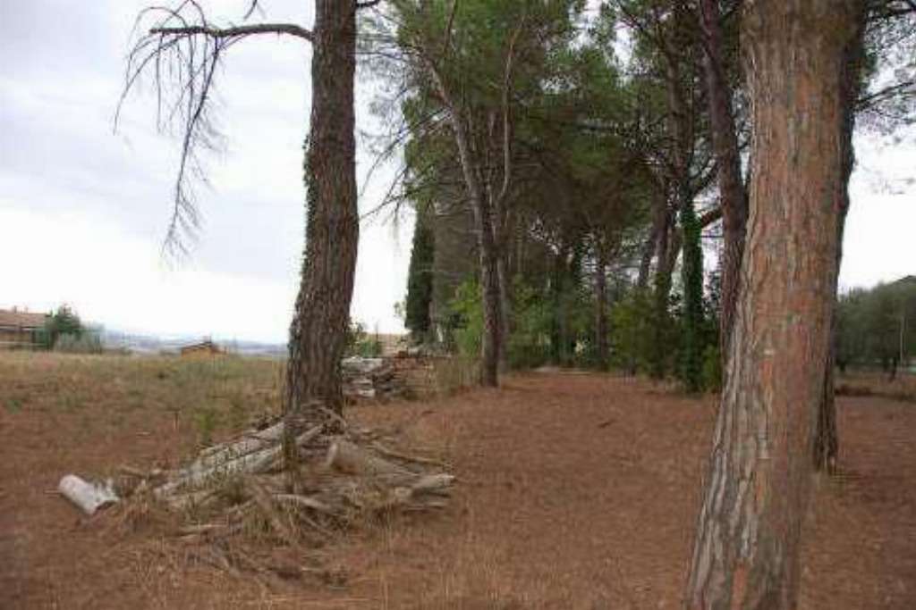  - foto 11