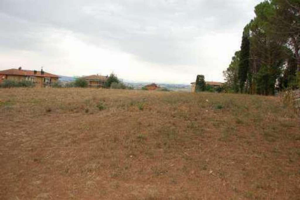  - foto 12