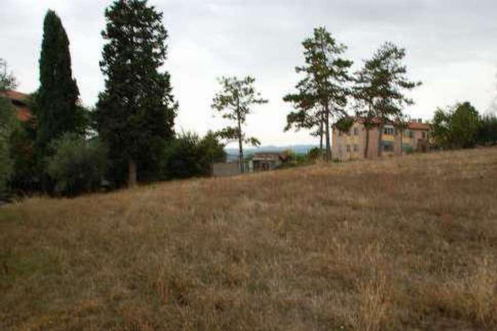 - foto 16