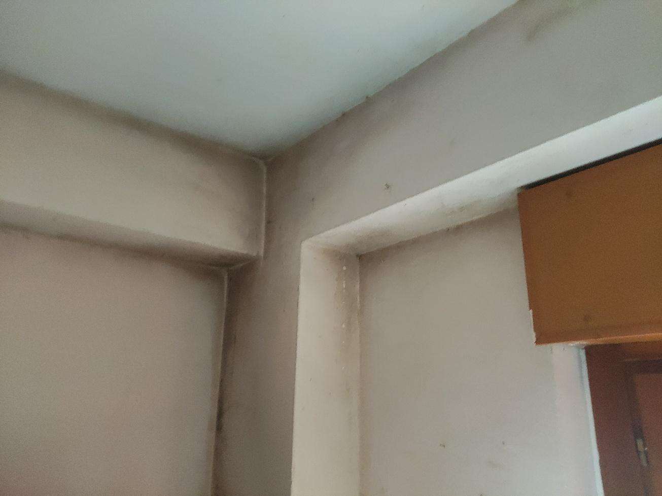  - foto 15