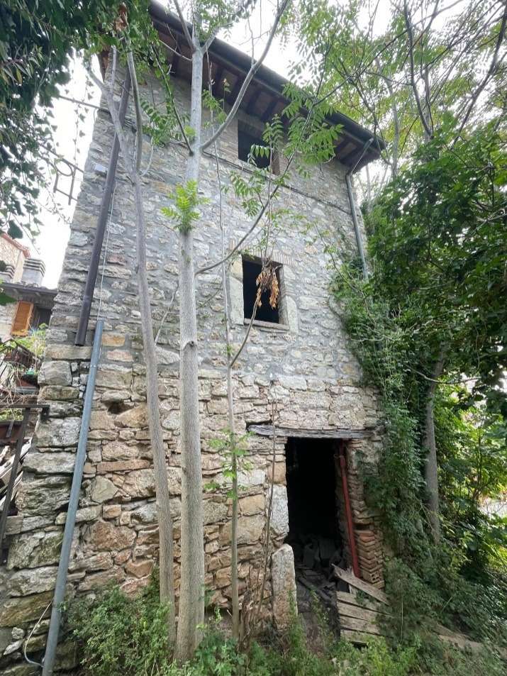  - foto 11
