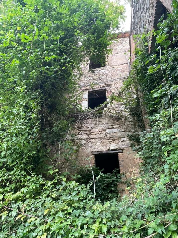  - foto 12