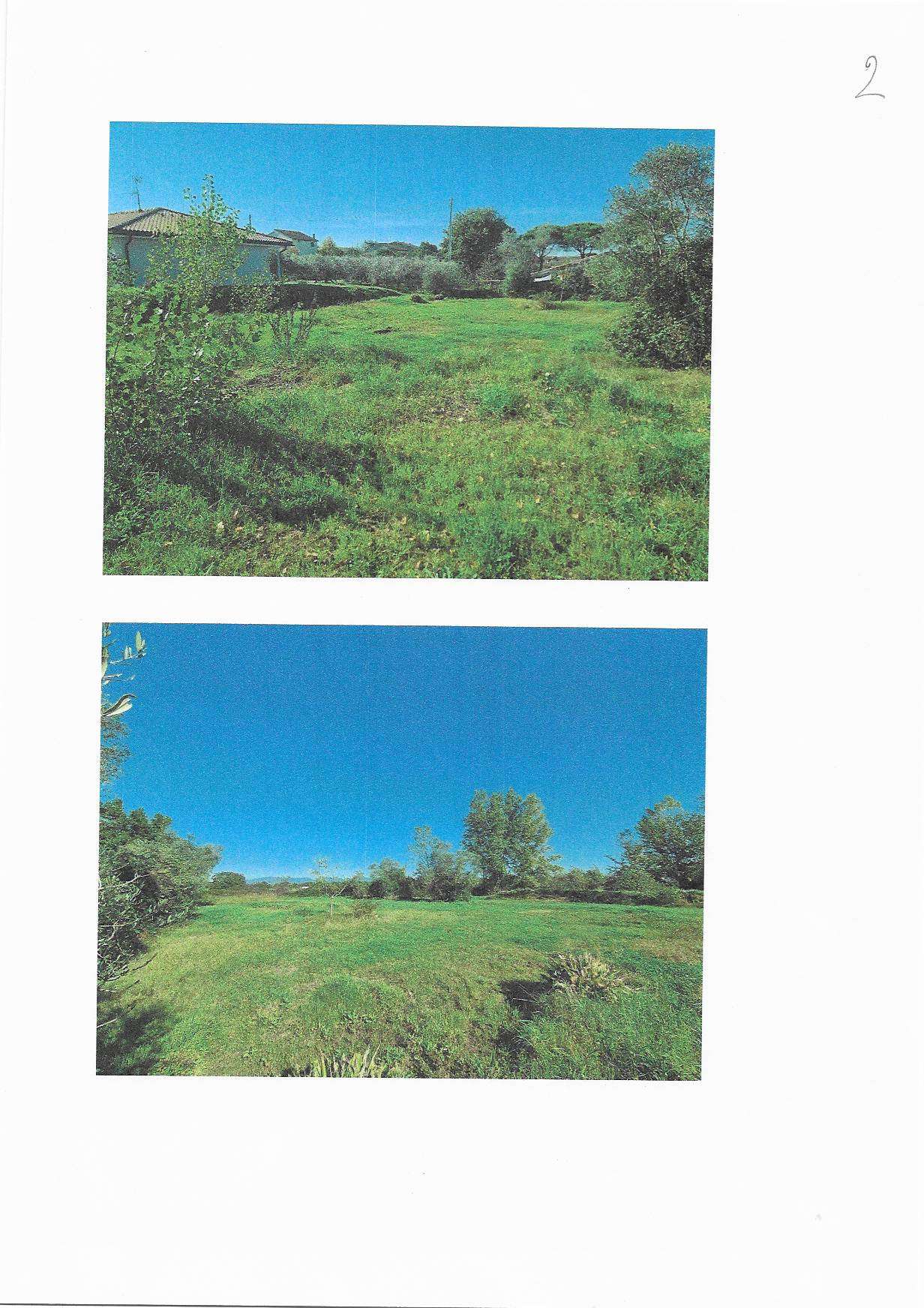  - foto 5