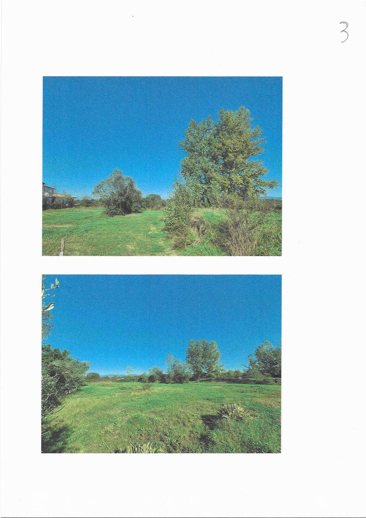  - foto 6