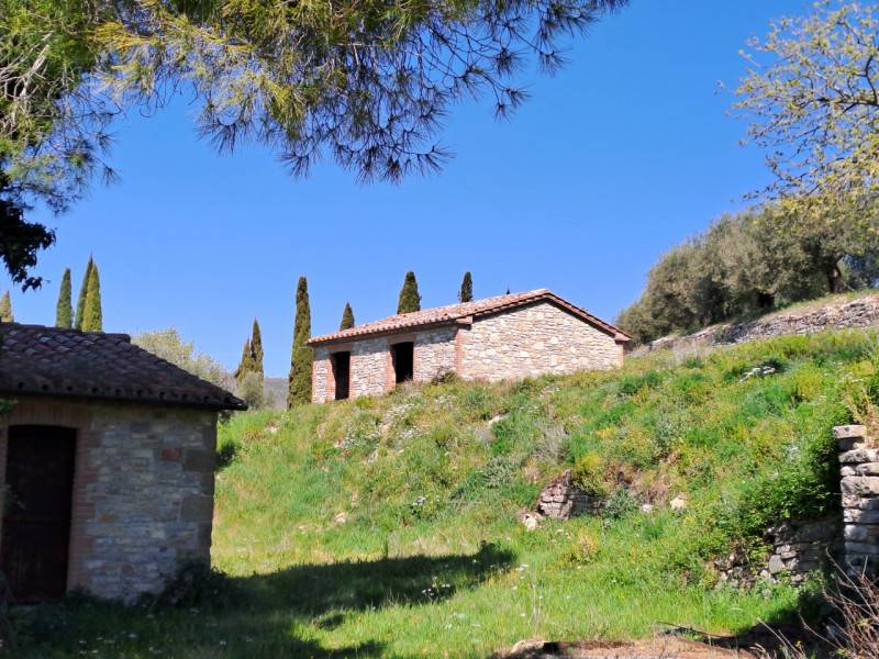 Rustico San Donato, Passignano sul Trasimeno