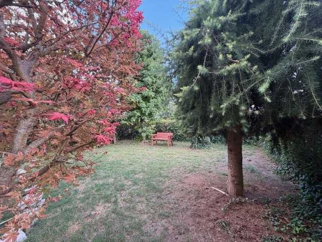  - foto 10