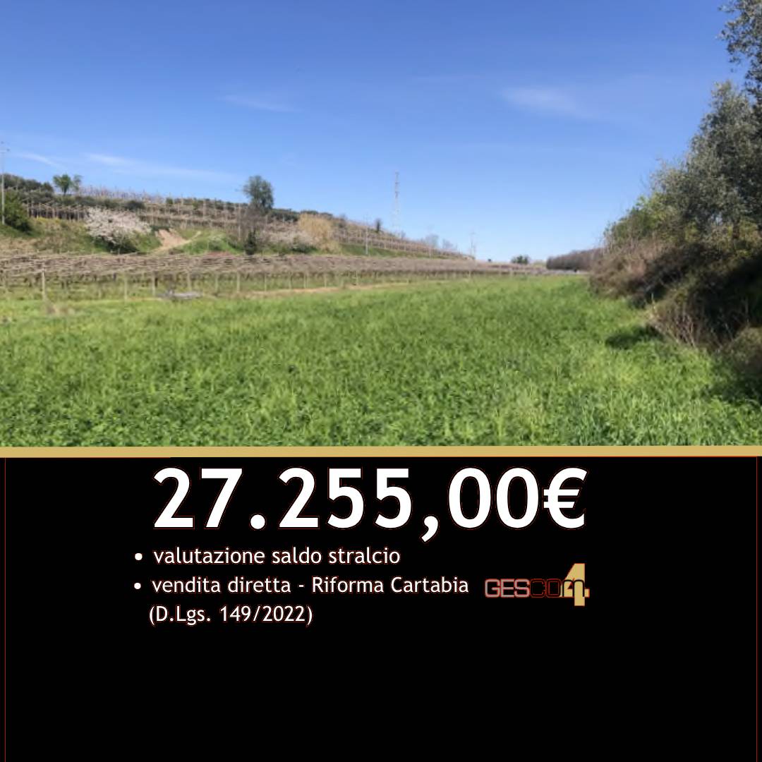 Terreno agricolo Palazzolo, Sona