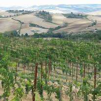 Azienda agricola San Quirico d 'Orcia, HXW+Q8, San Quirico d'Orcia