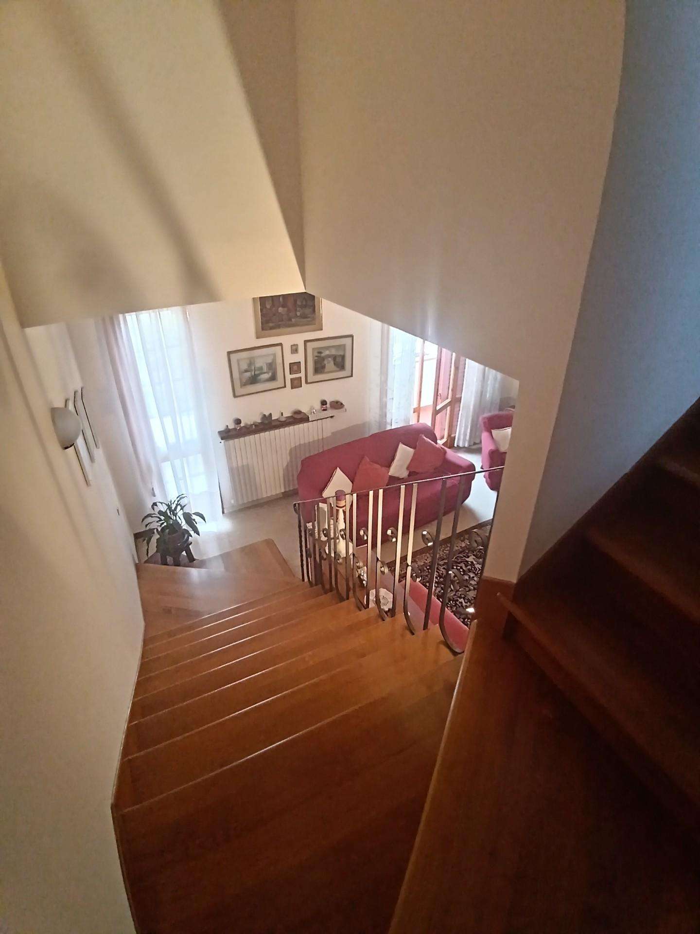  - foto 11