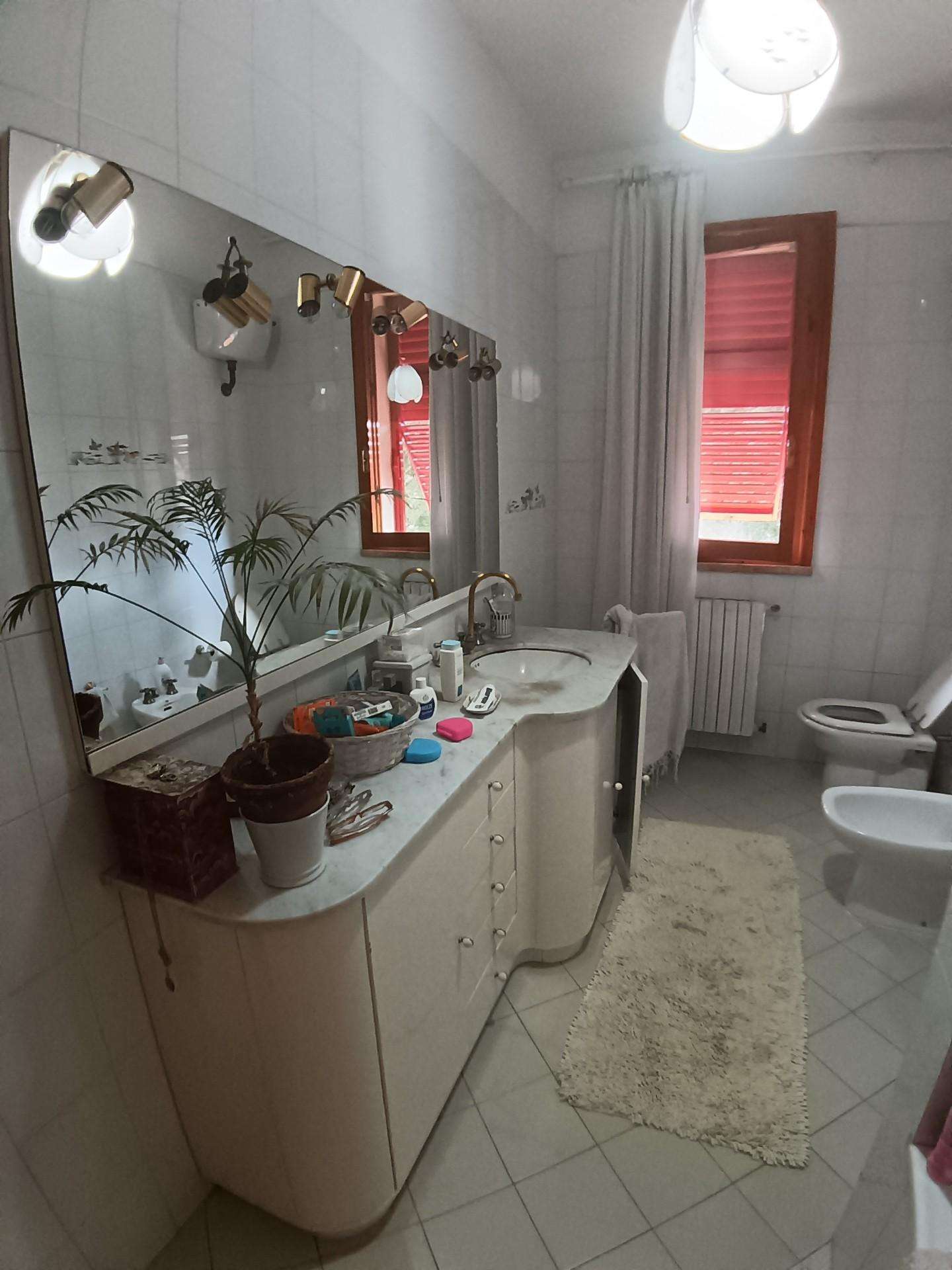  - foto 19