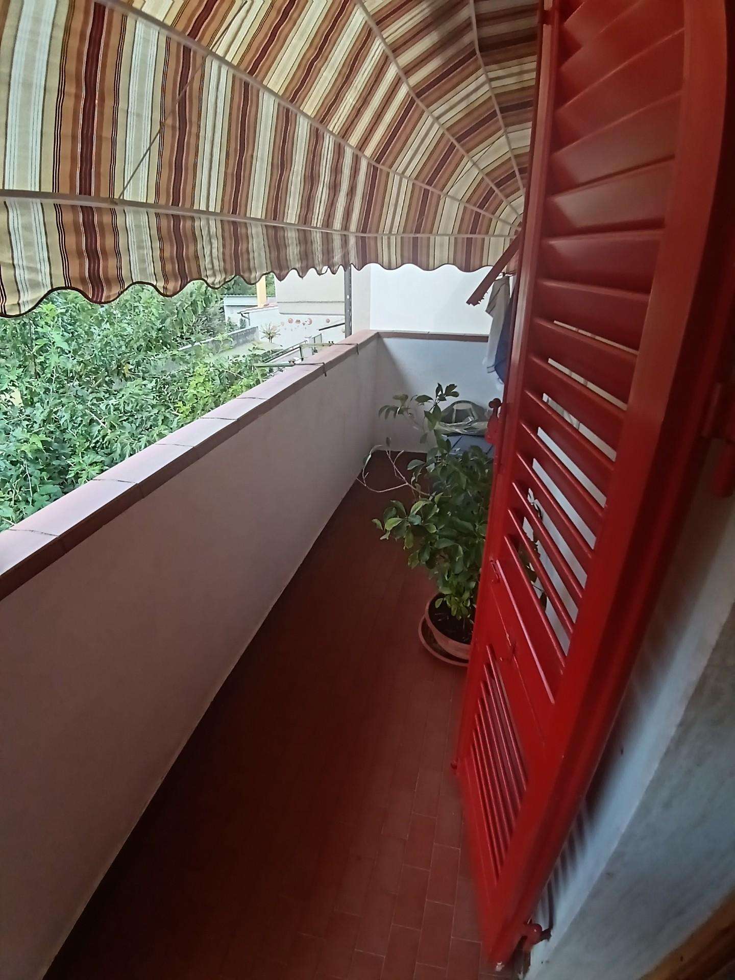  - foto 35