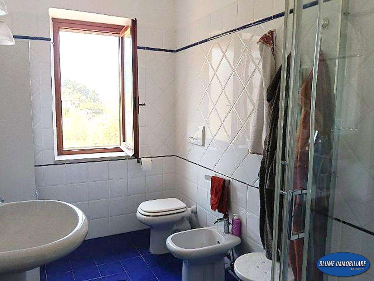 - foto 11