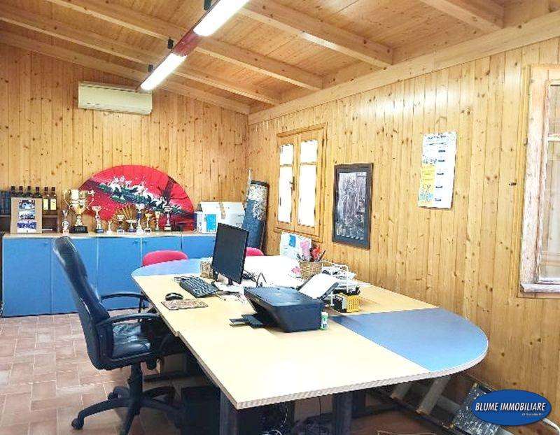  - foto 13