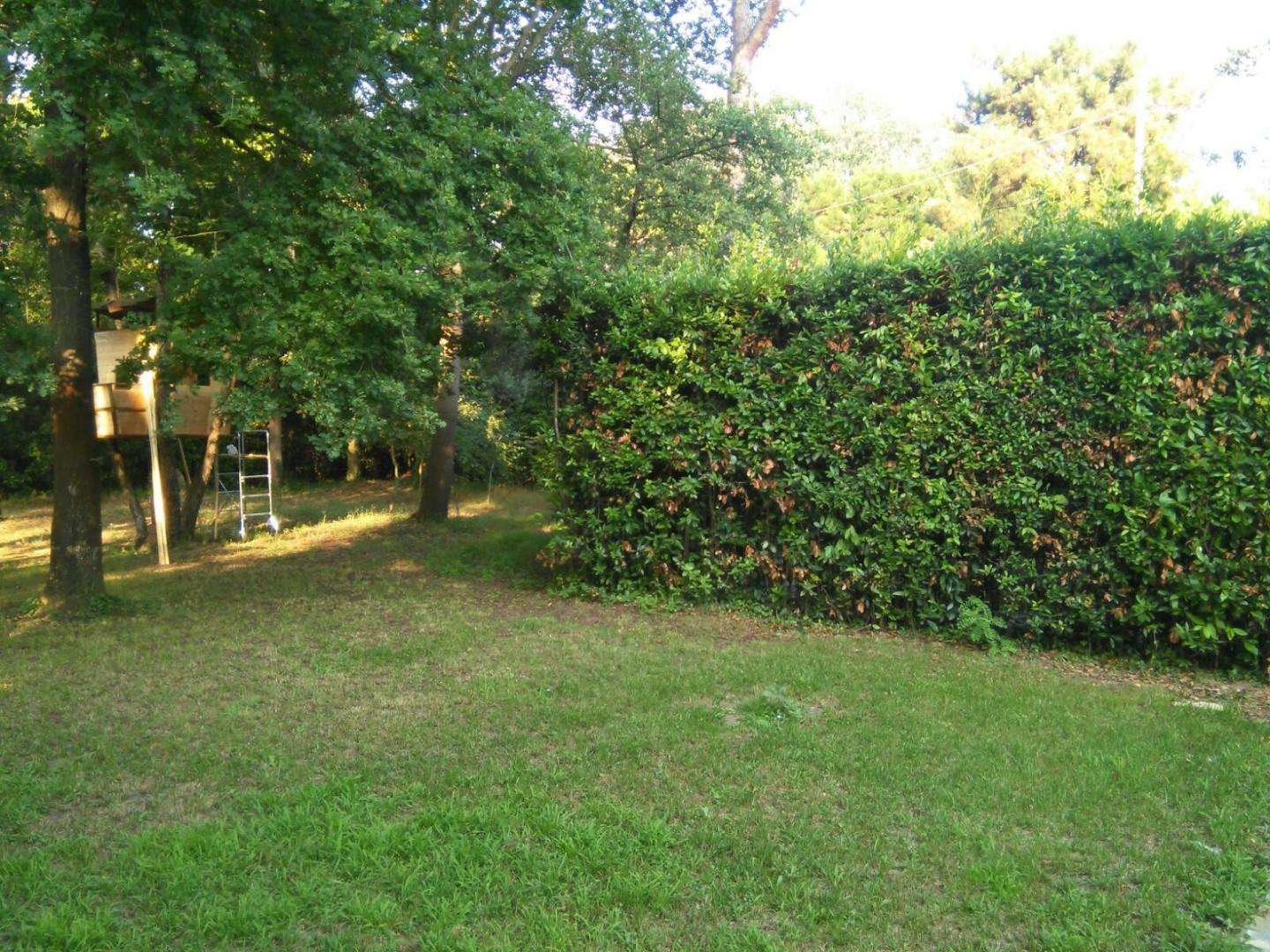  - foto 29