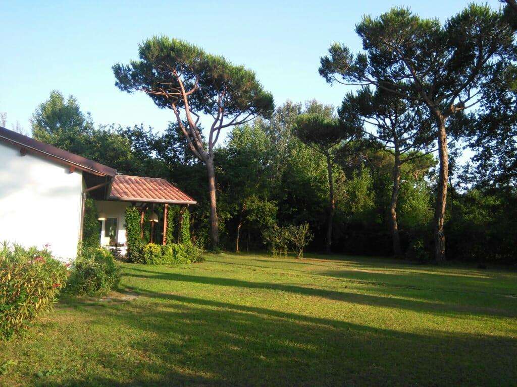  - foto 32