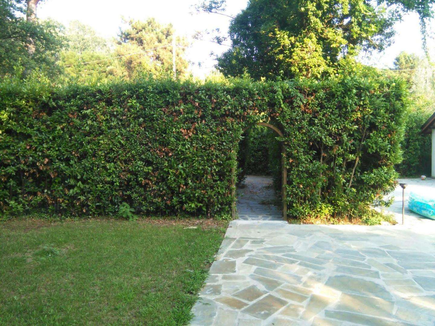  - foto 34