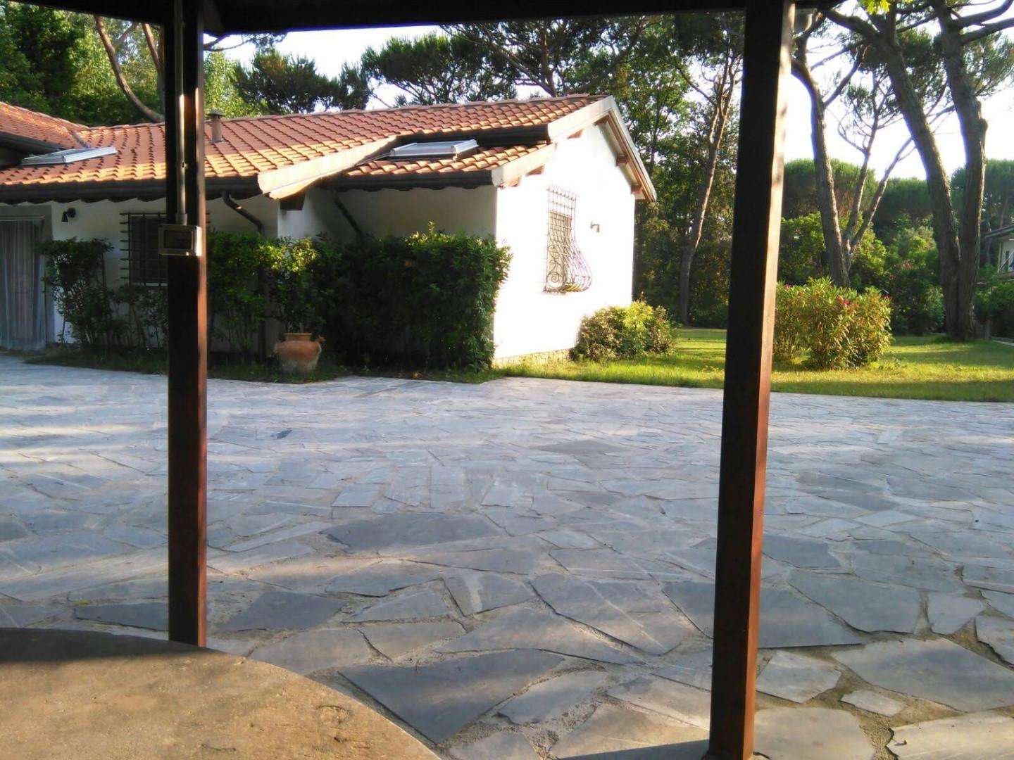 - foto 37