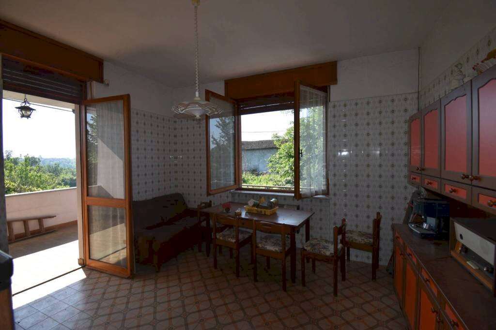  - foto 11