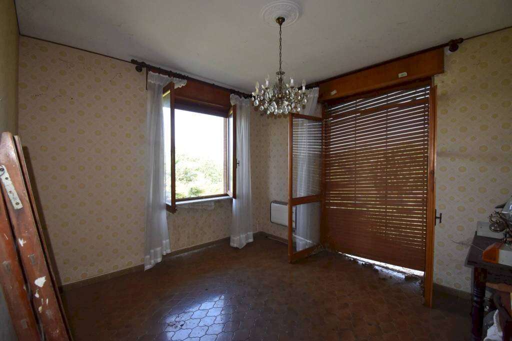  - foto 19