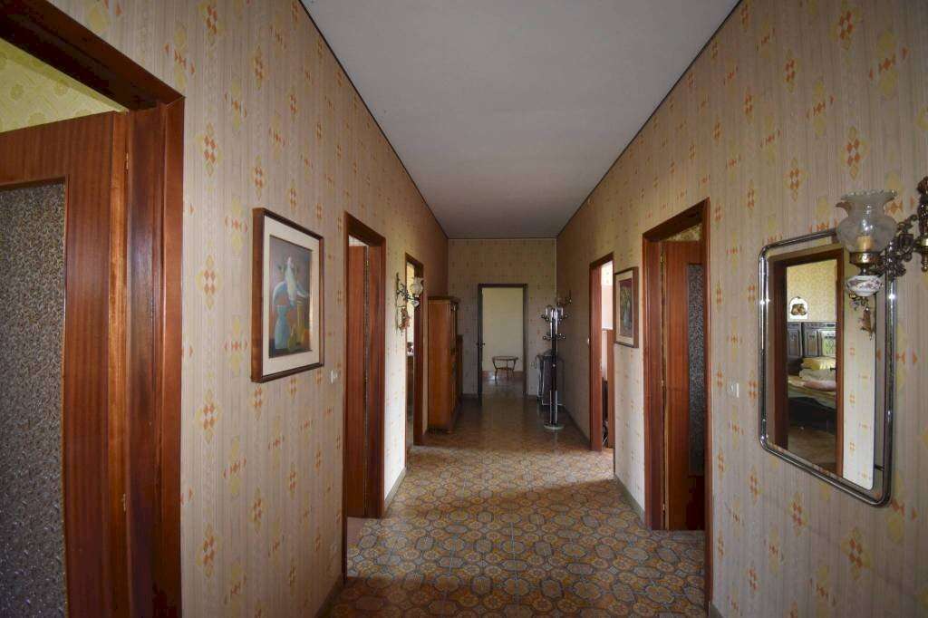  - foto 22