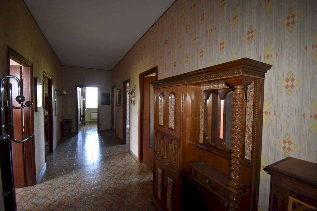  - foto 23