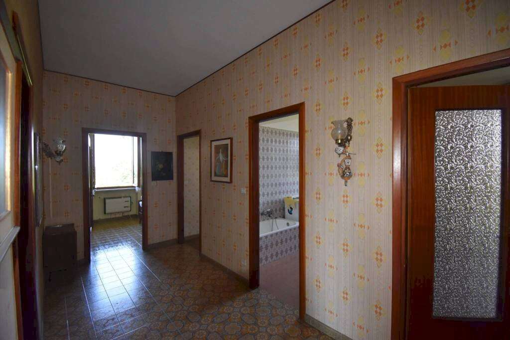  - foto 31