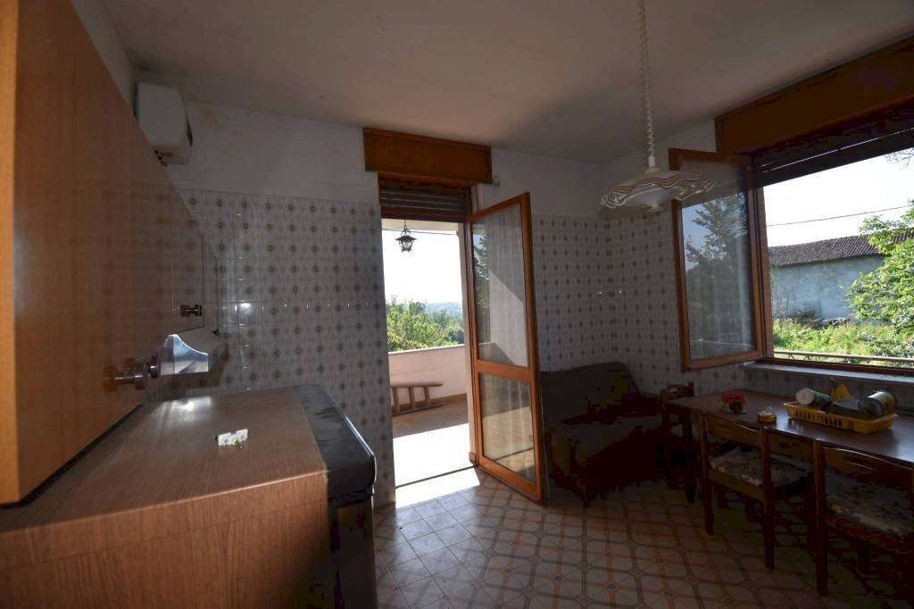  - foto 9