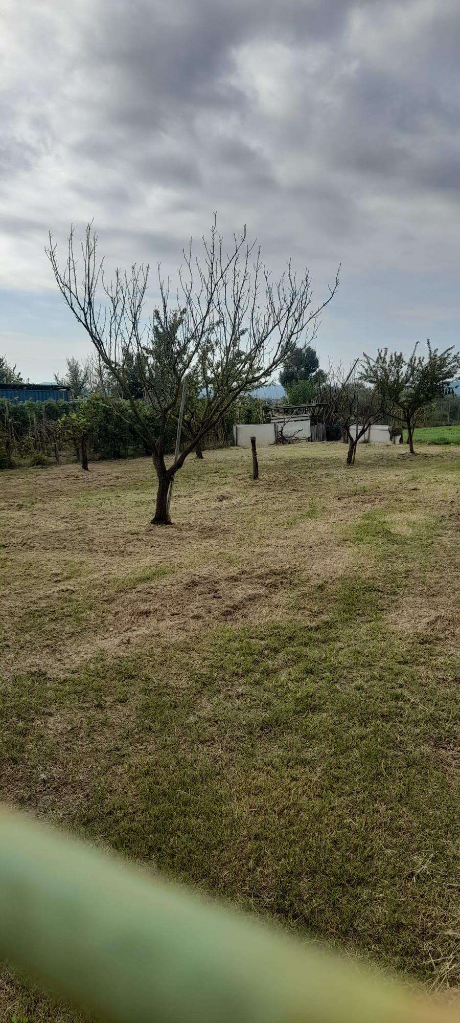  - foto 2