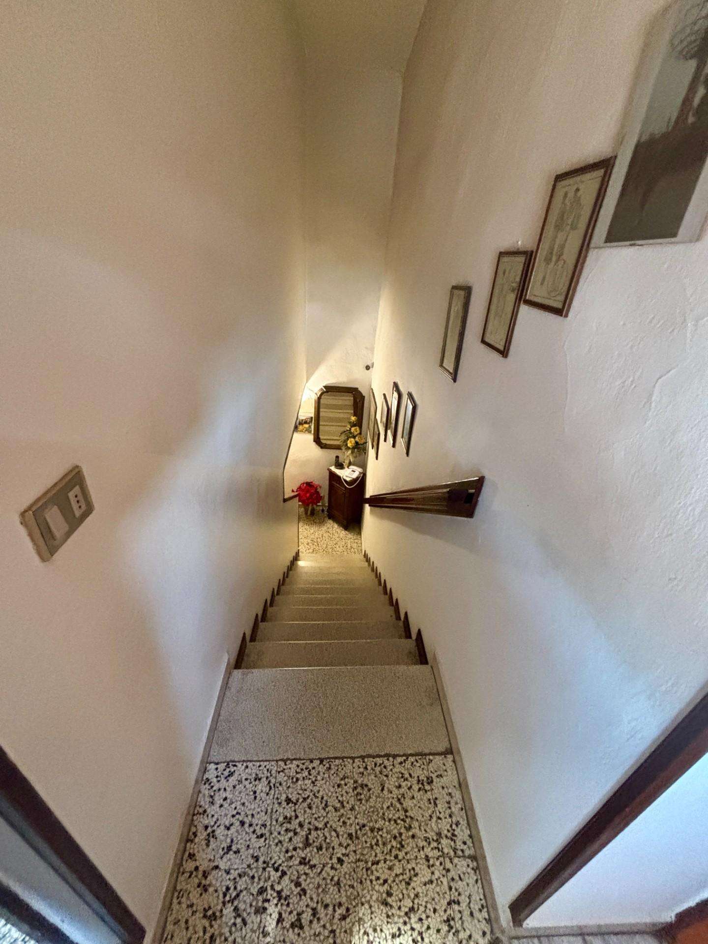  - foto 24