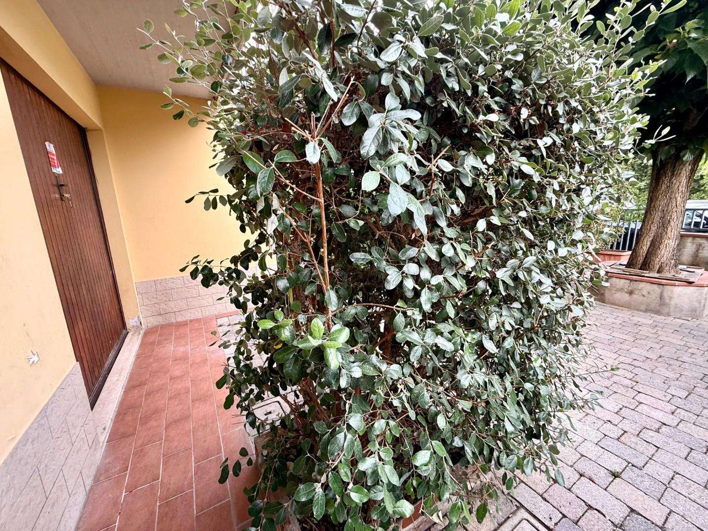  - foto 40