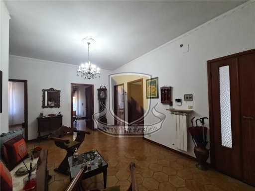  - foto 21
