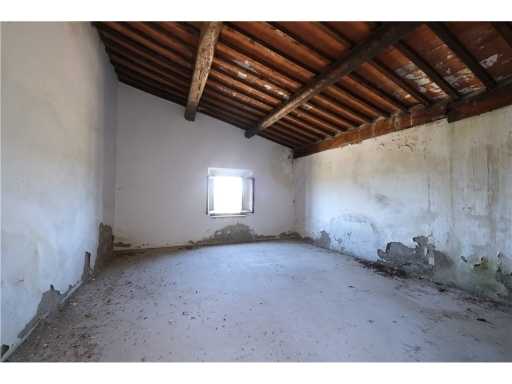  - foto 15
