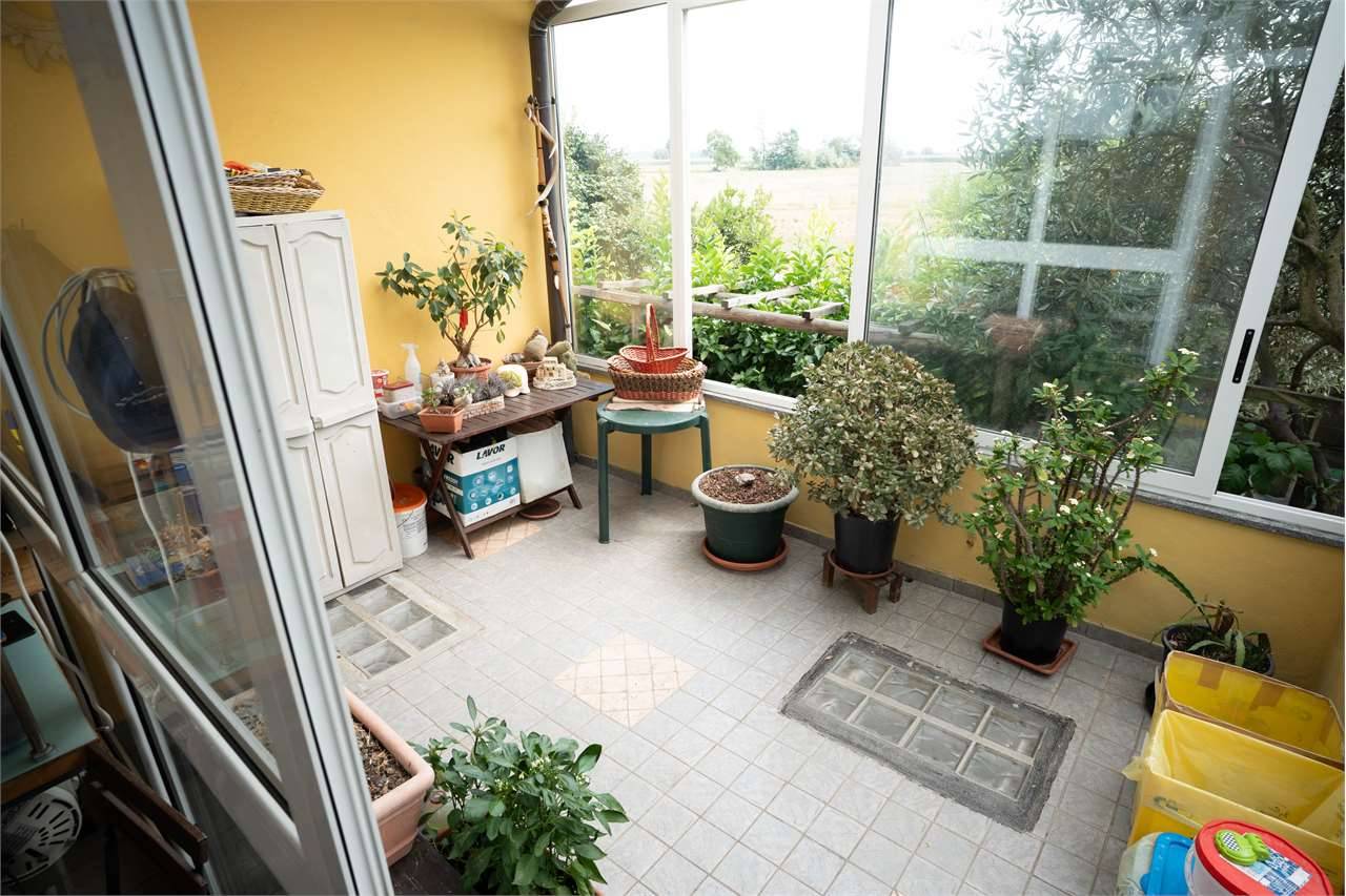  - foto 5
