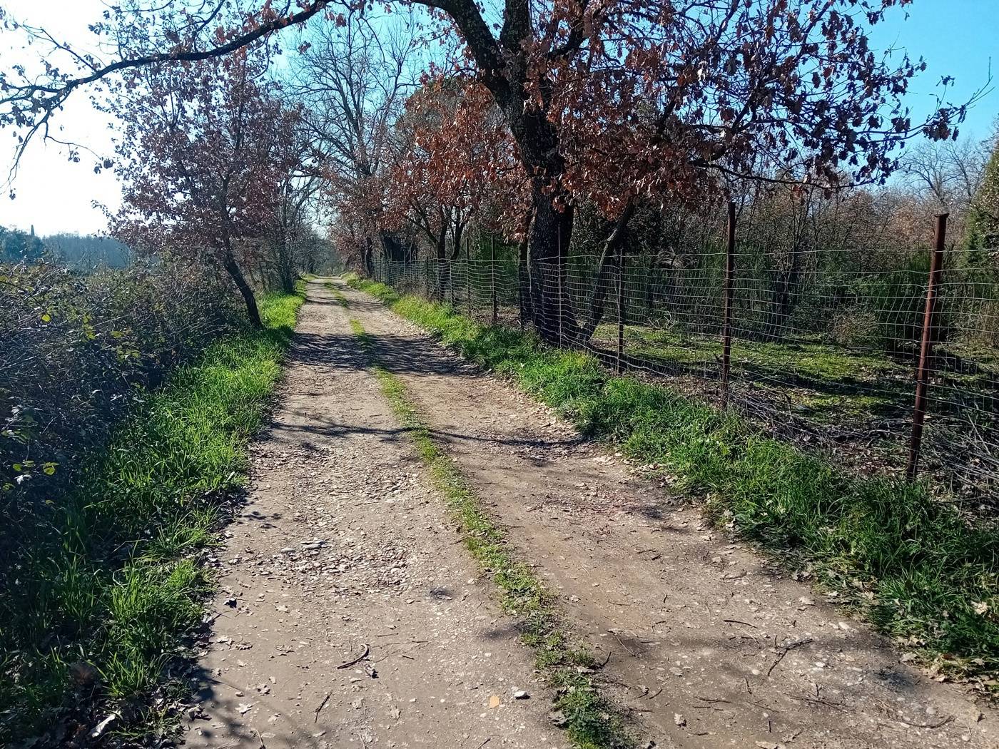  - foto 10