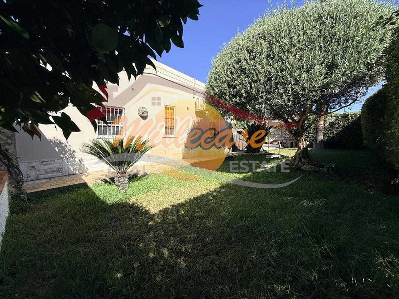  - foto 19