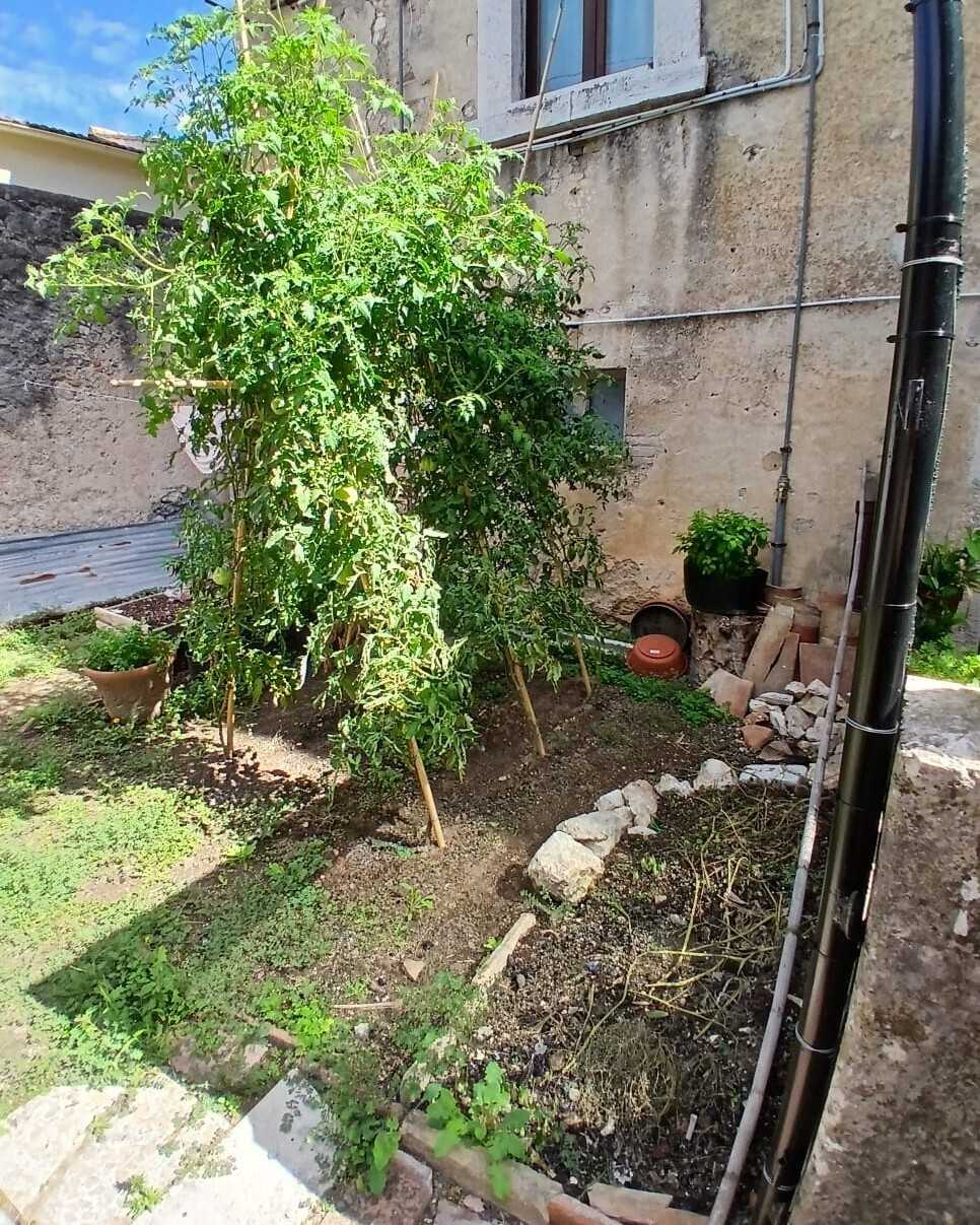  - foto 16