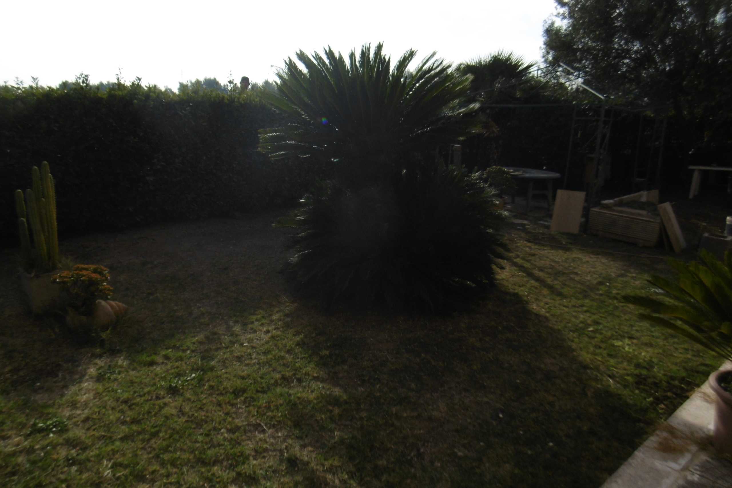  - foto 16
