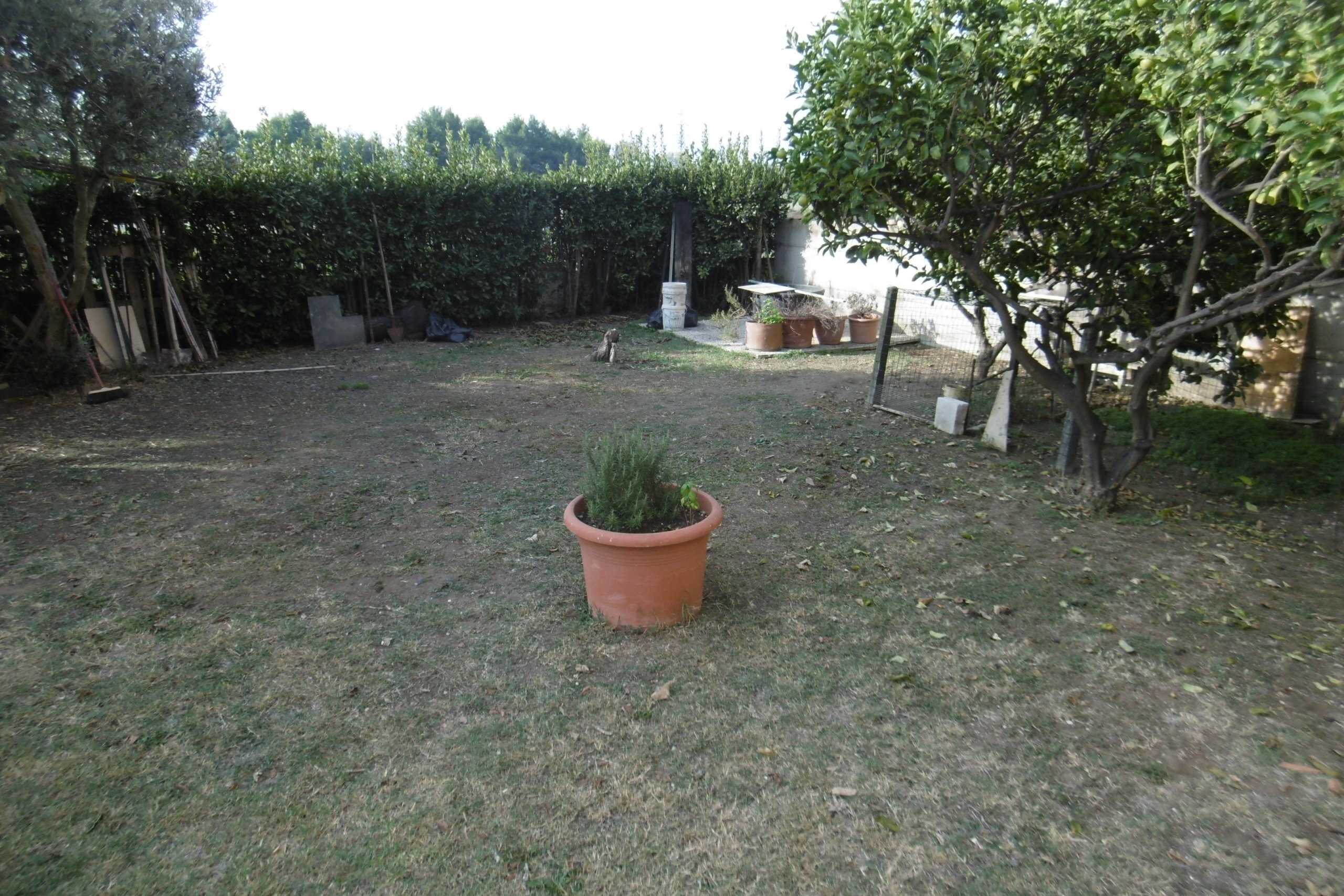  - foto 21