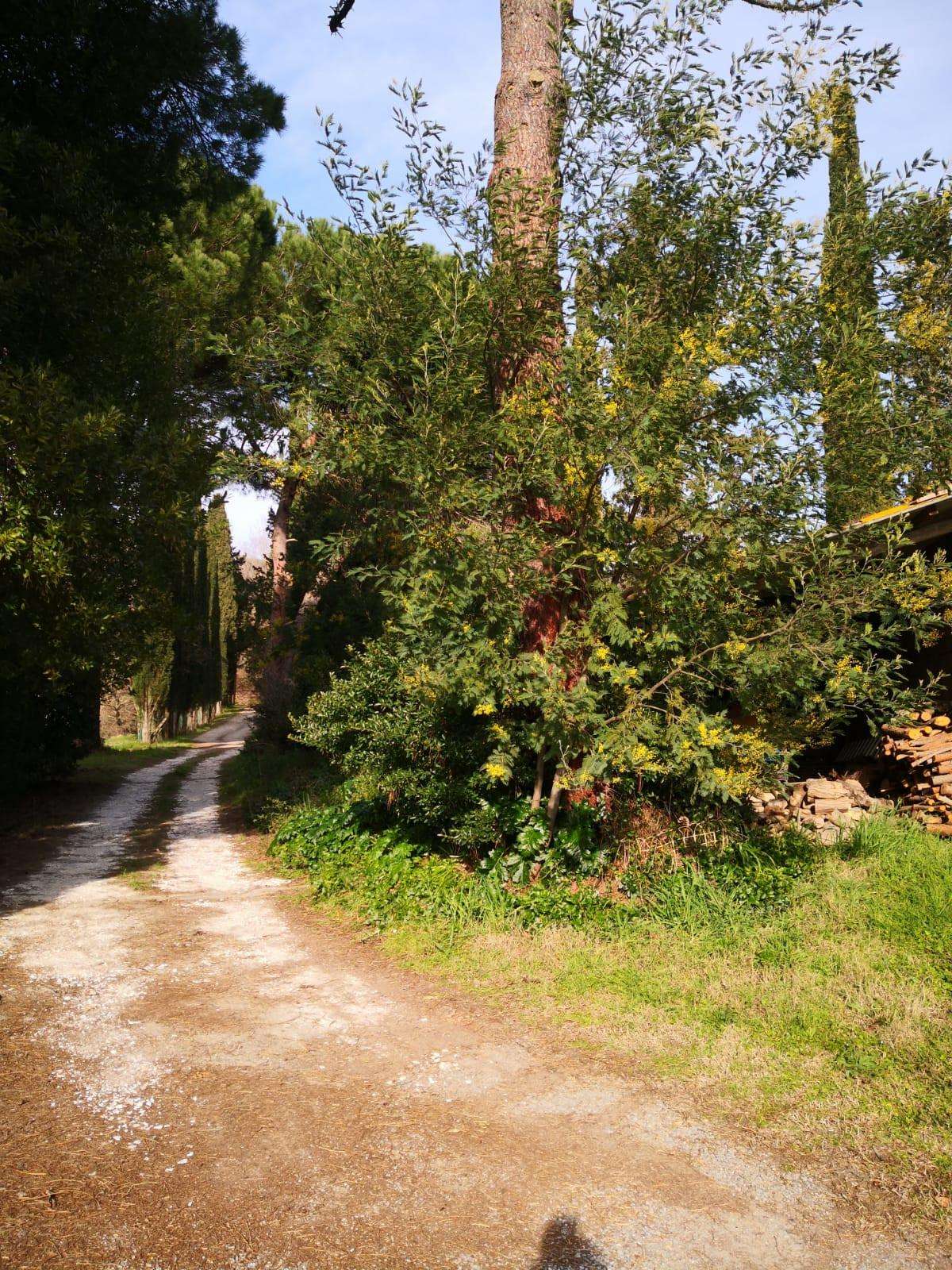  - foto 20