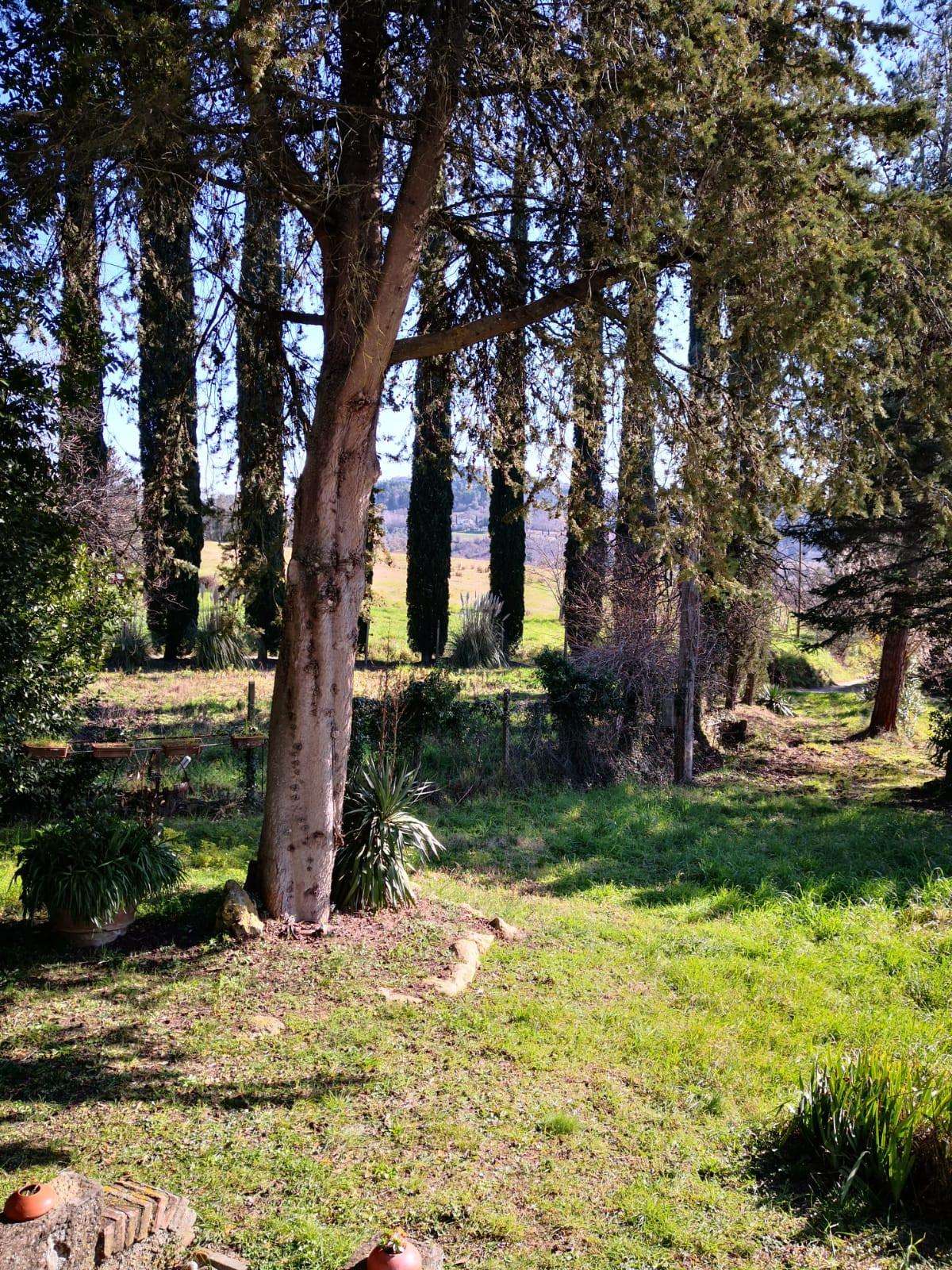  - foto 29