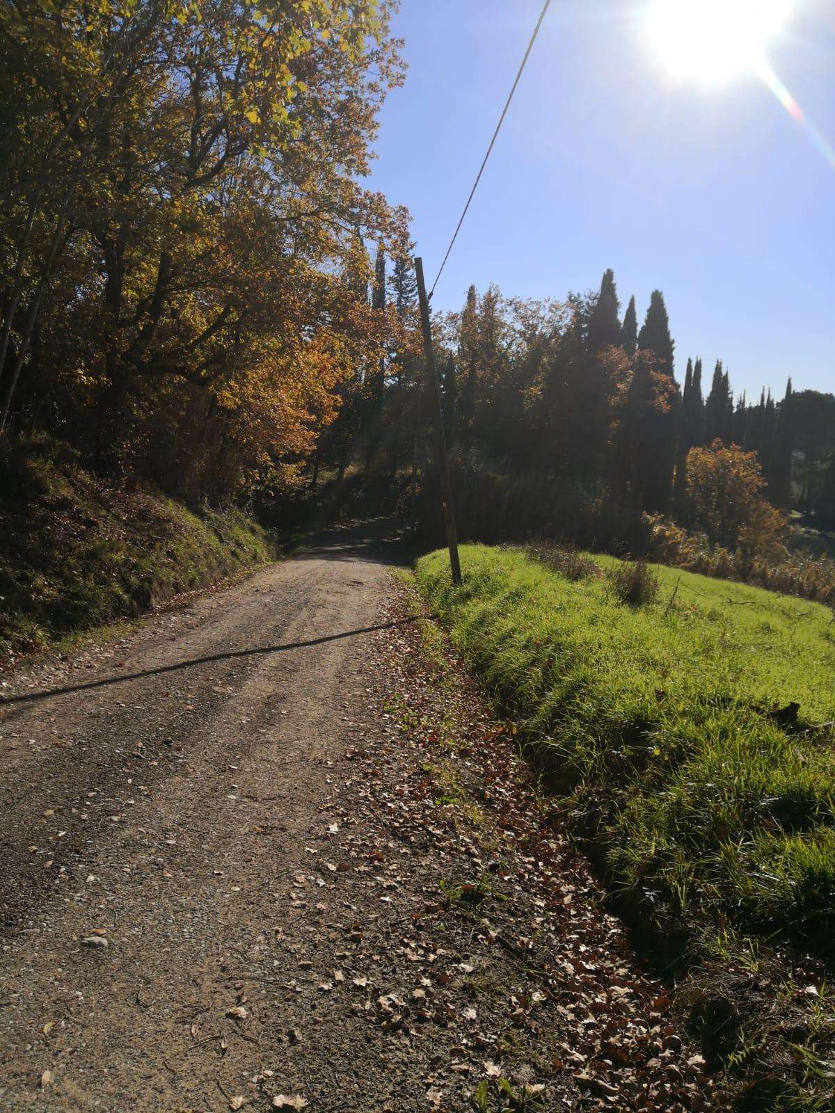  - foto 44