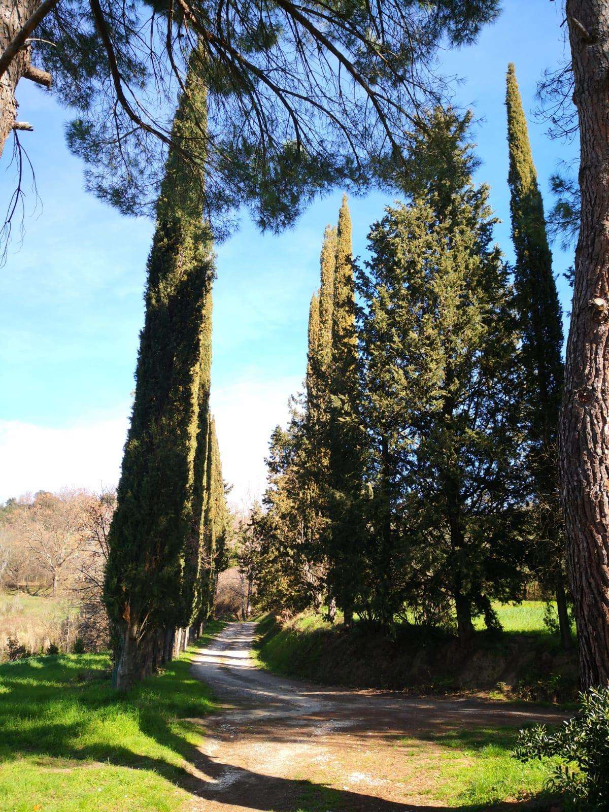  - foto 49
