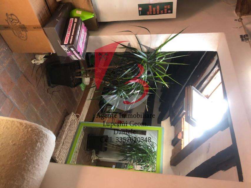  - foto 22