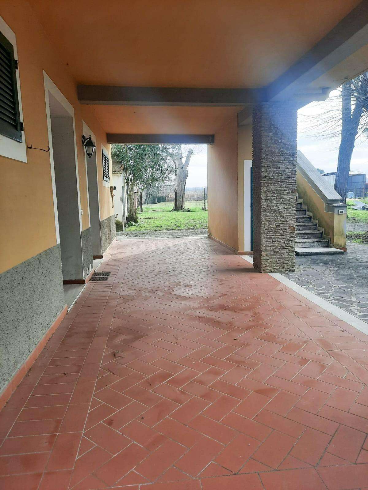  - foto 5