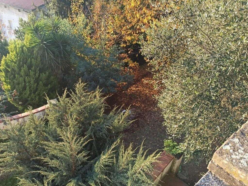  - foto 4